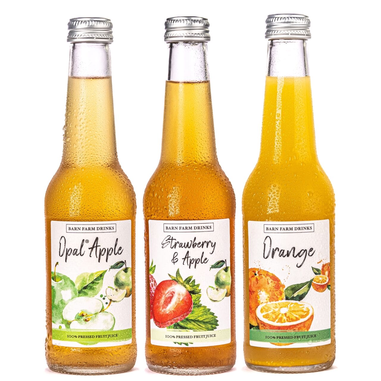 Summer Selction Fruit Juice Mixed case